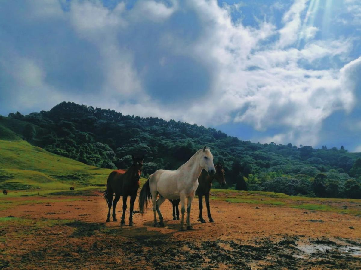 Finca Recreacional Marcelandia Santa Rosa de Cabal Esterno foto