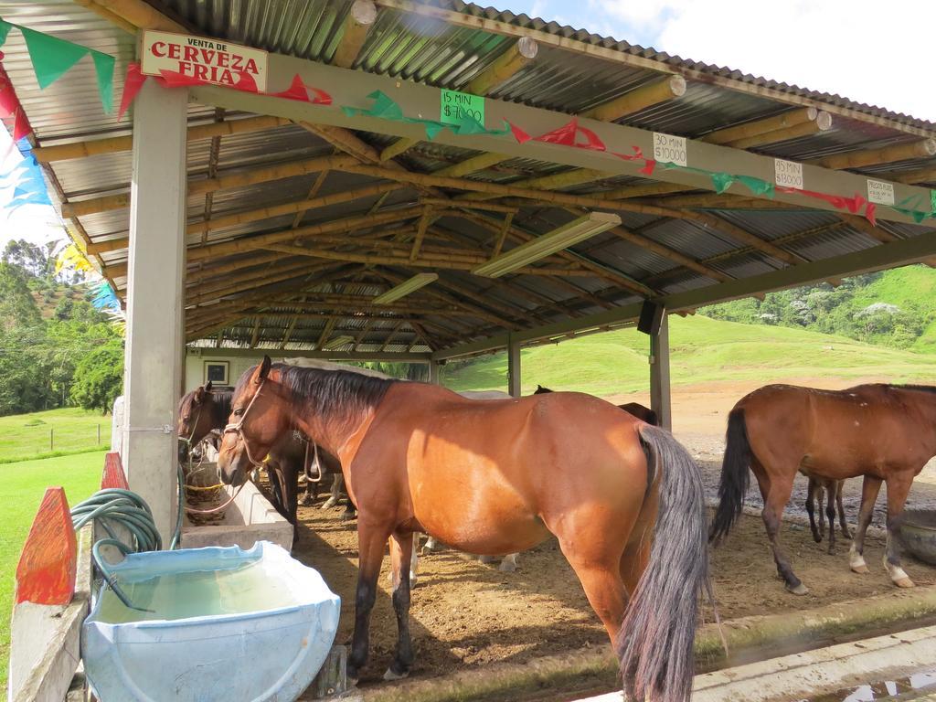 Finca Recreacional Marcelandia Santa Rosa de Cabal Esterno foto